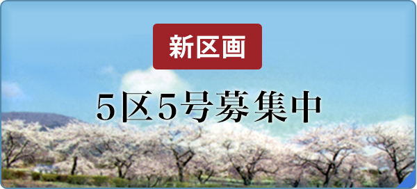 新区画募集中　桜並木をのぞむ緑豊かな区画を好評受付中です。