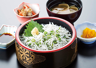 写真：しらす丼